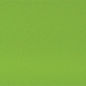 Кромка ПВХ 22/1 зеленая 71B Polkemic