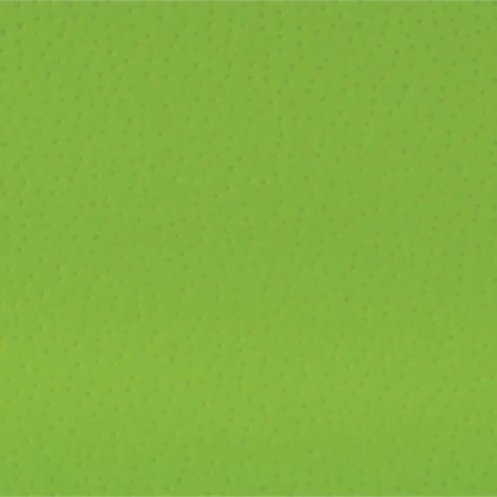 Кромка ПВХ 22/1 зеленая 71B Polkemic