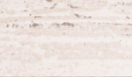 ПВХ 28/2 сосна касцина РБ