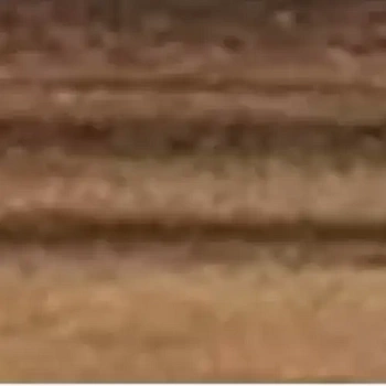 Кромка ПВХ 22/1 макасар цейлон 20/1 Polkemic