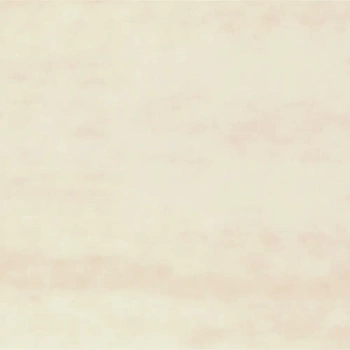 Кромка ПВХ 22/08 береза натура 0137 Korner