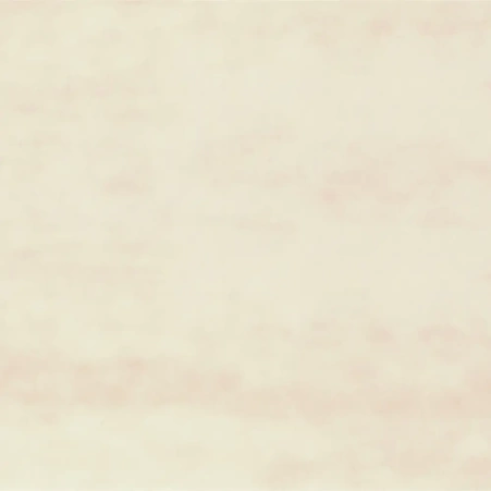 Кромка ПВХ 22/08 береза натура 0137 Korner