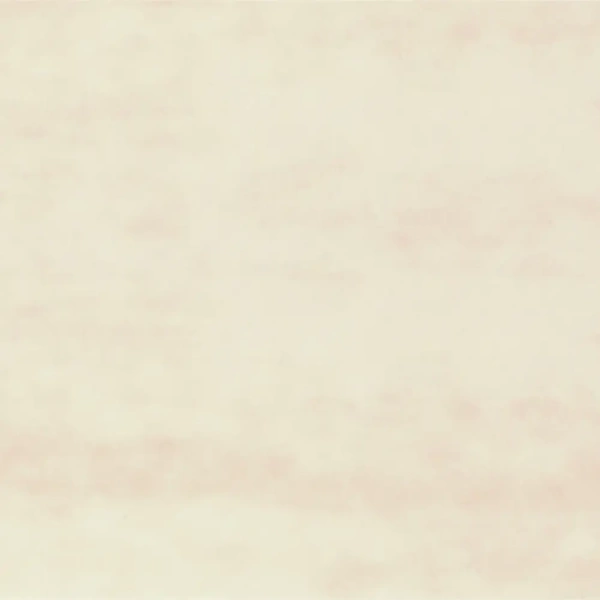 Кромка ПВХ 22/08 береза натура 0137 Korner