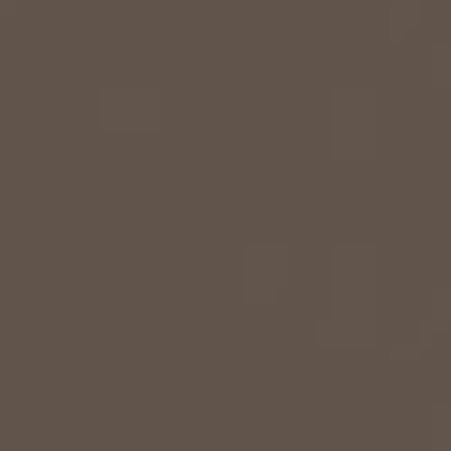 Кромка ПВХ 22/1 коричневый трюфель 7340 El-mech-Plast